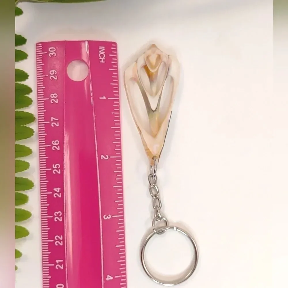 Seashell Keyring Slice Conch Seashell Clearwater Beach, Florida